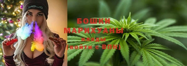 гидра Белоозёрский