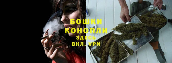 гидра Белоозёрский