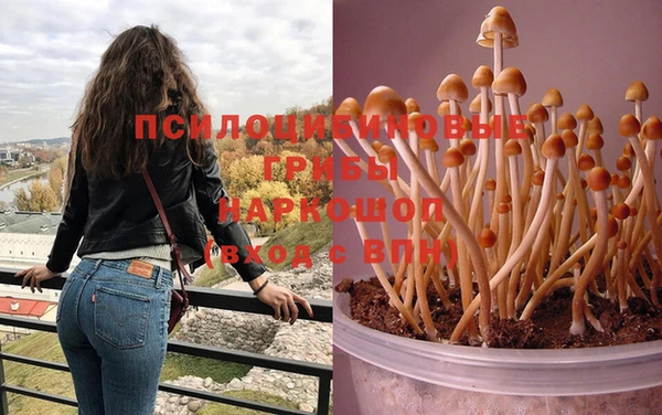 гидра Белоозёрский
