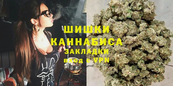 гидра Белоозёрский